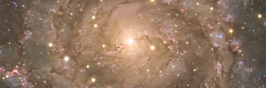 a_backhaus's profile banner image