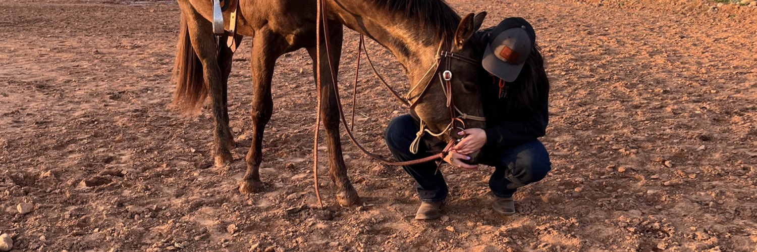 tdesj3's profile banner image
