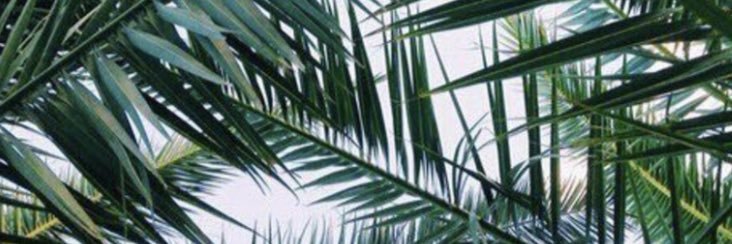 ali_mccullum's profile banner image