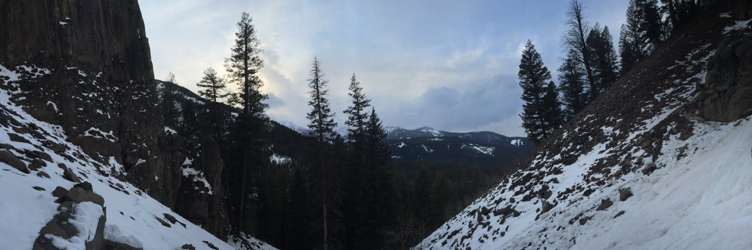 AllieMechtel's profile banner image