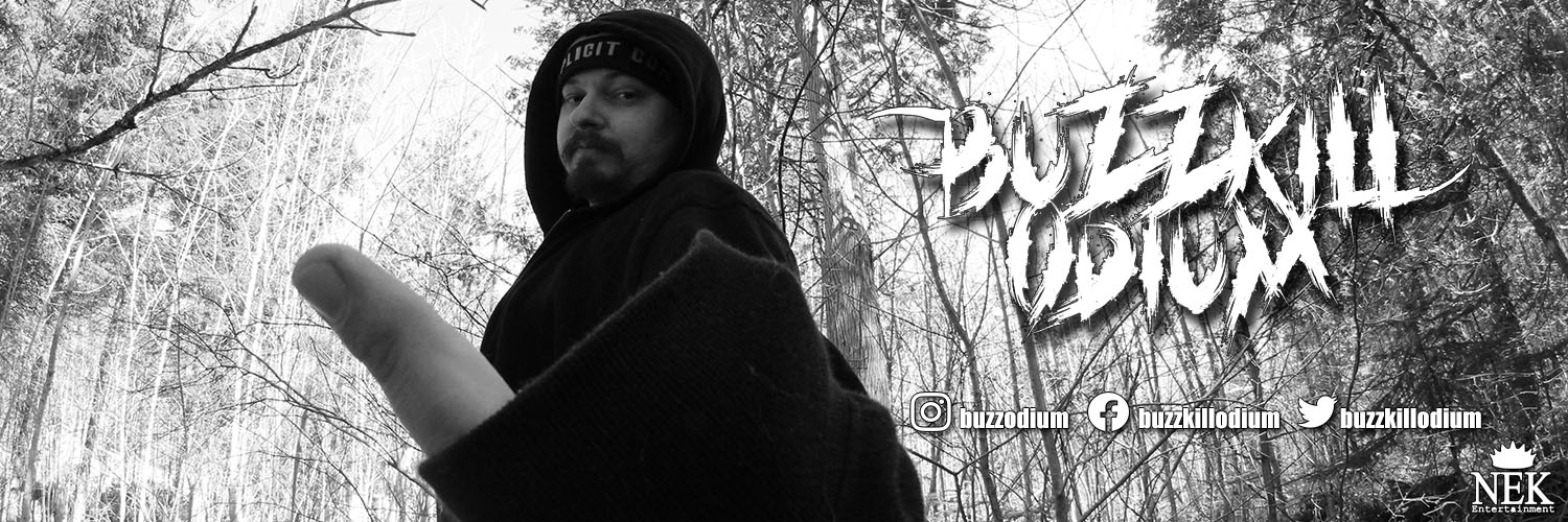 BuzzkillOdium's profile banner image