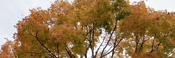 bob_ezrin Profile Banner