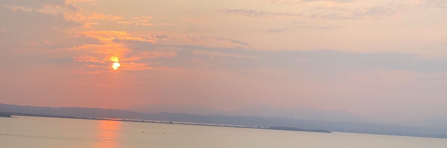 Kelly O’Connor banner