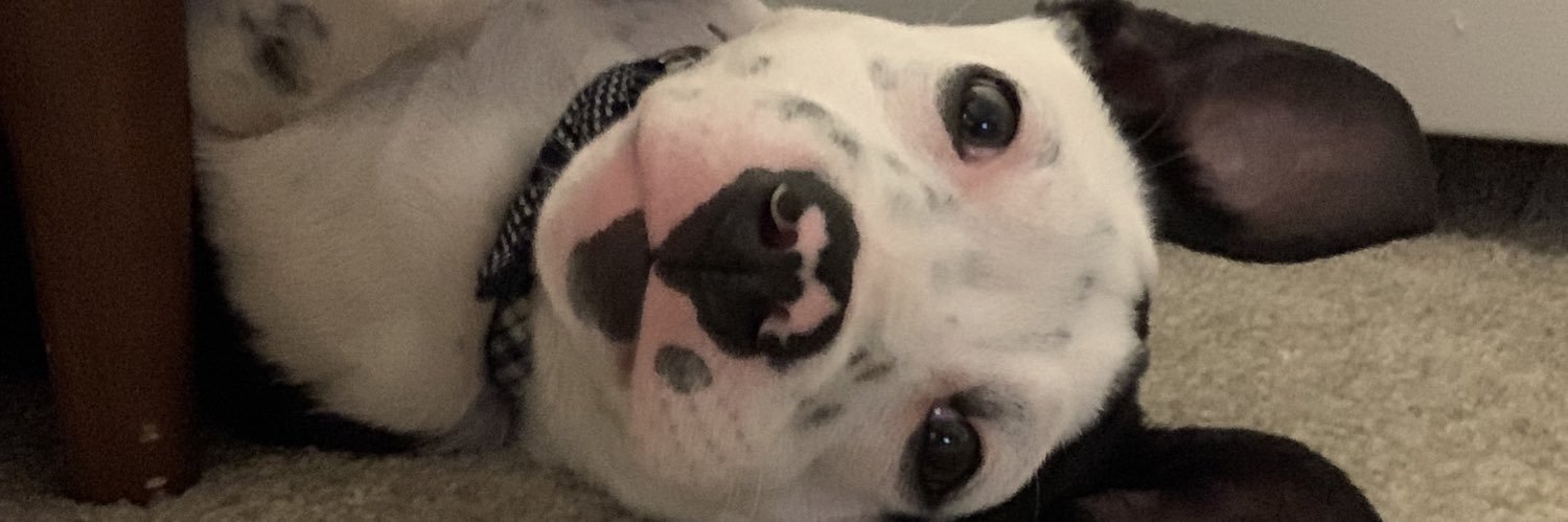 sophheyyy's profile banner image