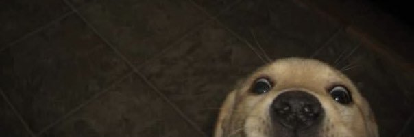 congenialliety's profile banner image