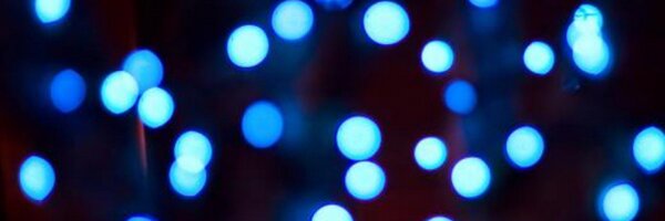 BirdIsTheWorm Profile Banner