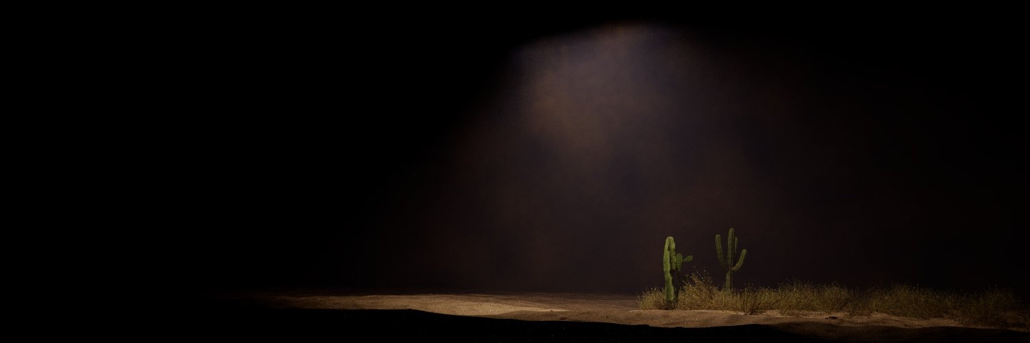 kcassoen's profile banner image