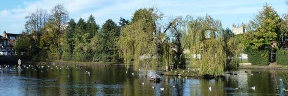 chislehurst_1's profile banner image