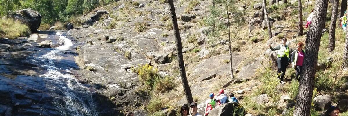 Francisco Cos banner