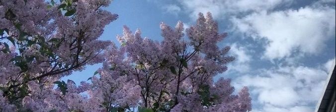 3281_davyd's profile banner image