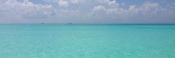 jescobar82 Profile Banner