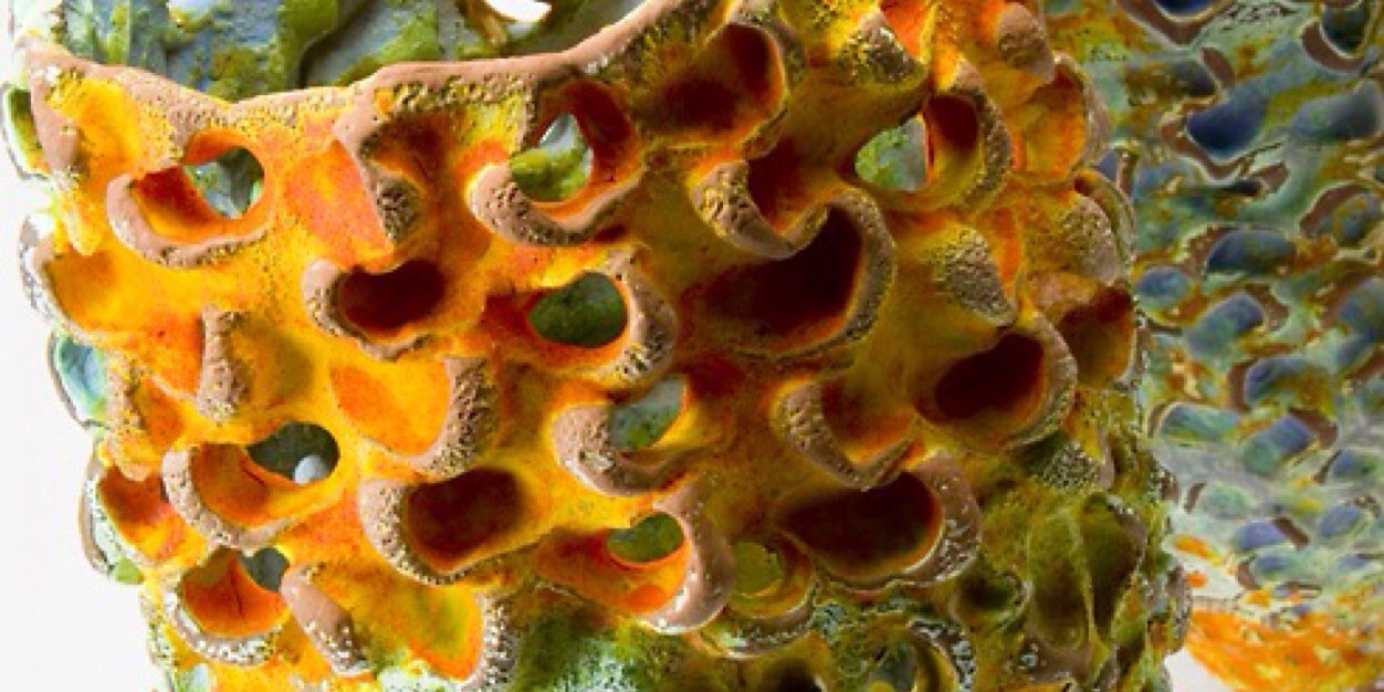 simone fraser banner