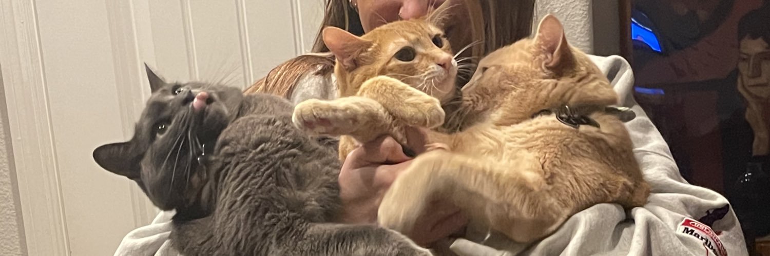 wintleee's profile banner image