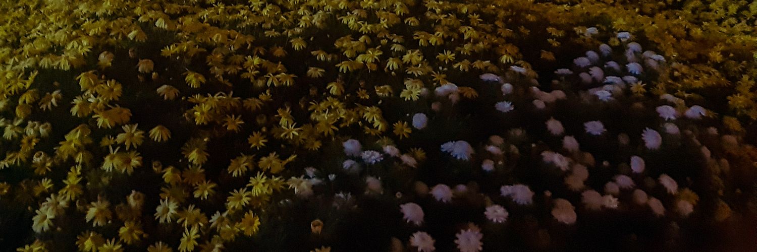 limonzuela's profile banner image