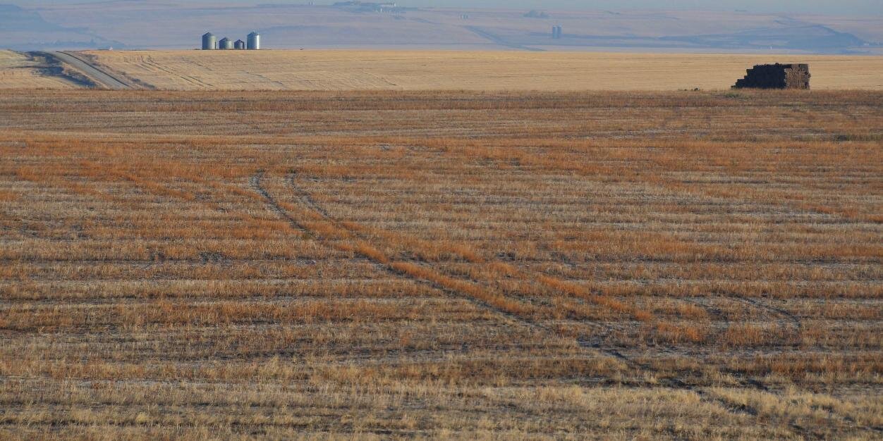 Brian Kennedy🧢 banner