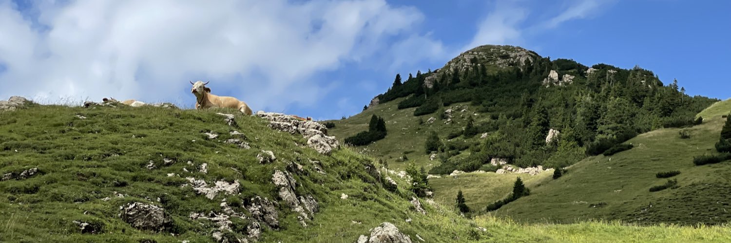 Tomáš Kavalek  banner