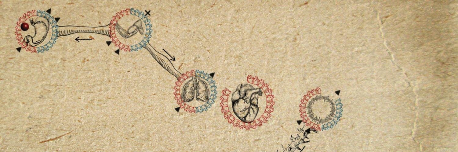 thotep's profile banner image