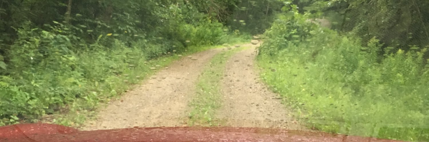 Elizabeth Burdine 🇺🇸 banner