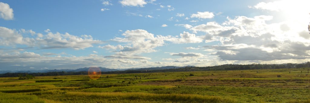 HunterHanson1's profile banner image