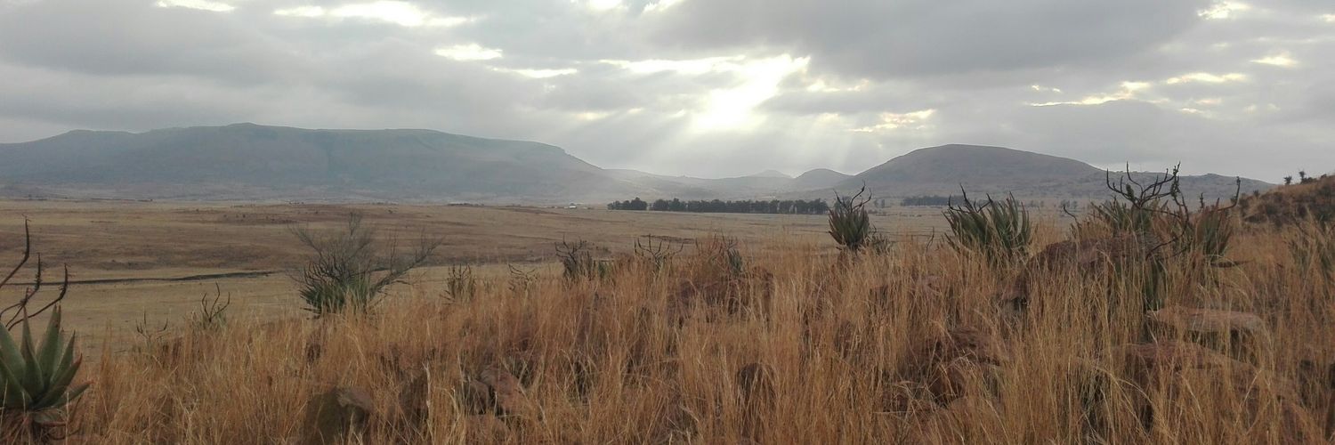 langsmman's profile banner image