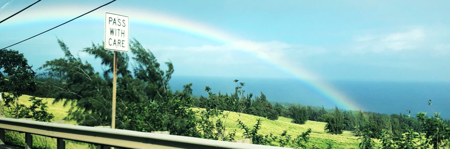 MarisseBC's profile banner image