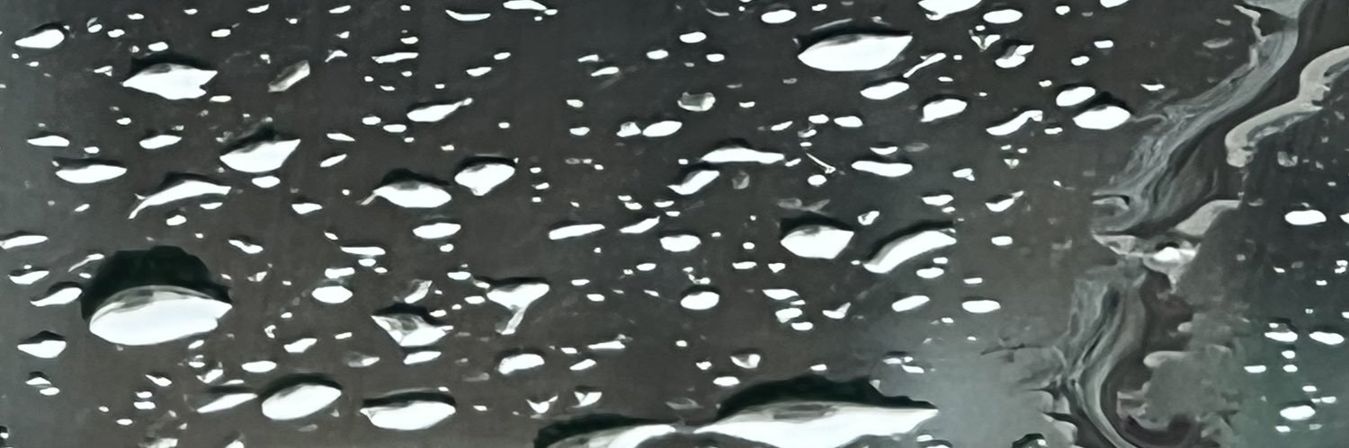 WillyBoomer's profile banner image