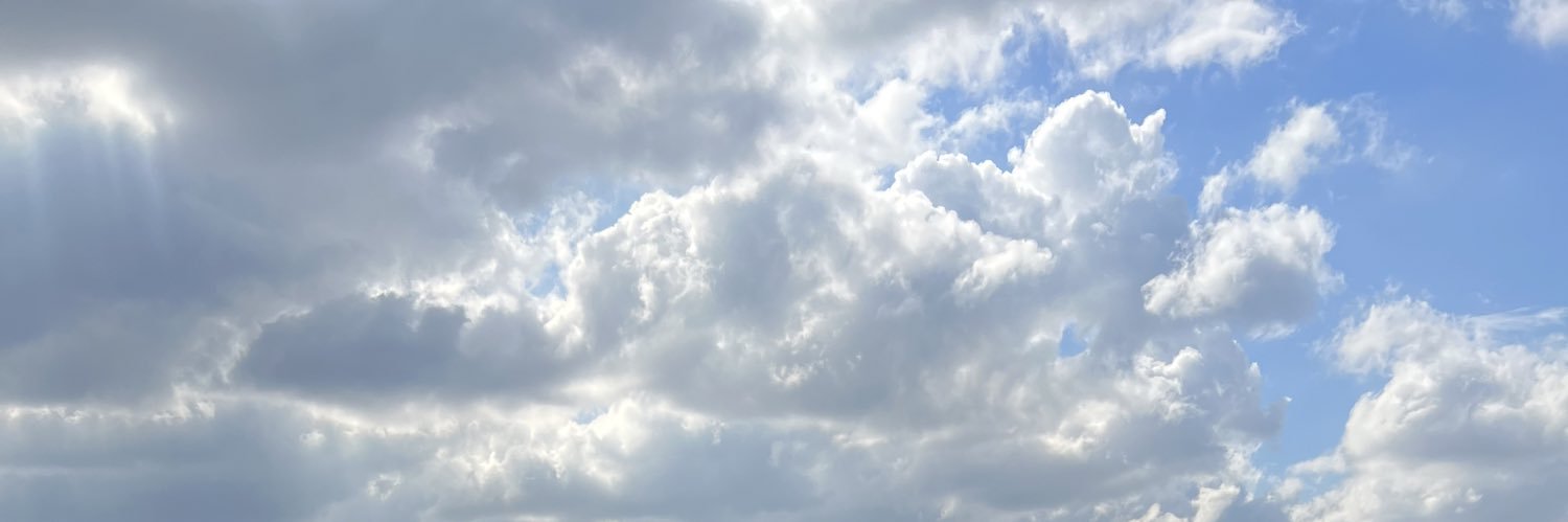 RemyRooger's profile banner image