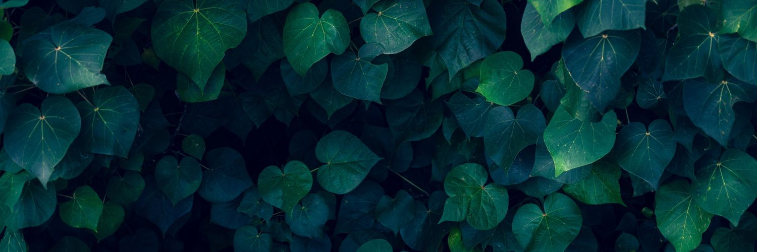AuthorChelseaC's profile banner image