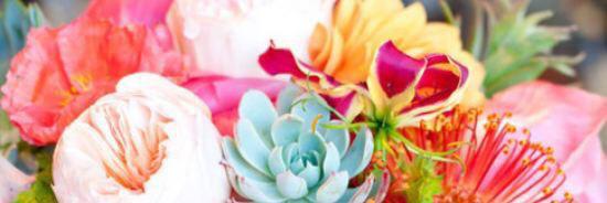 ashley__hall's profile banner image