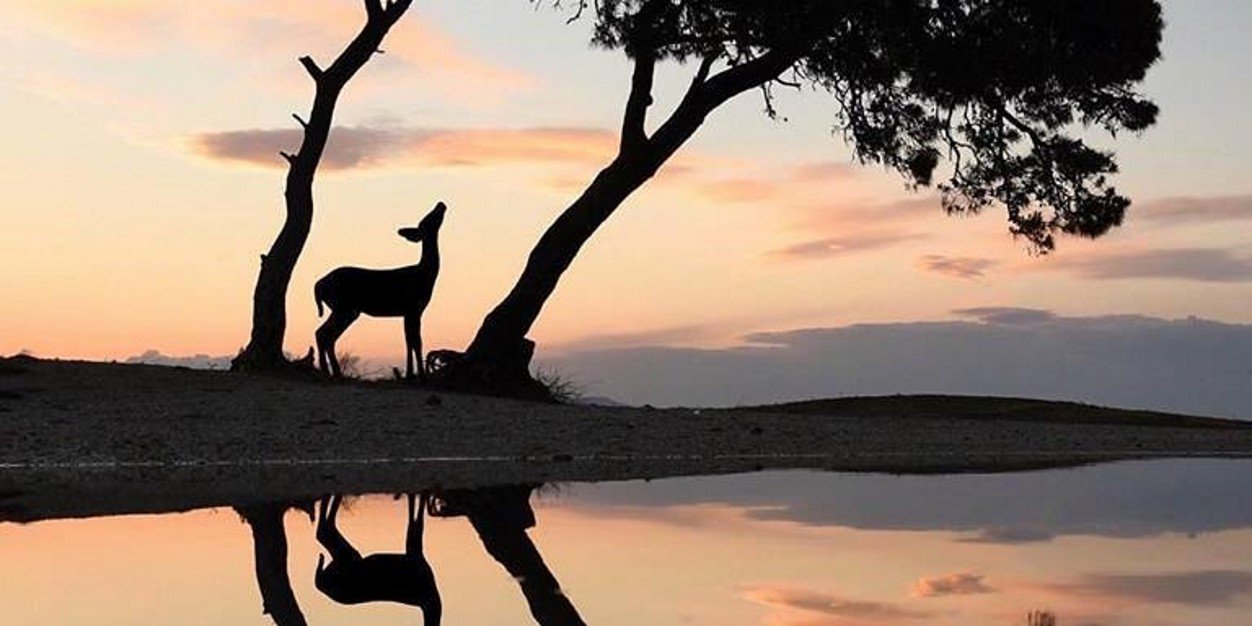 carrolljames201's profile banner image