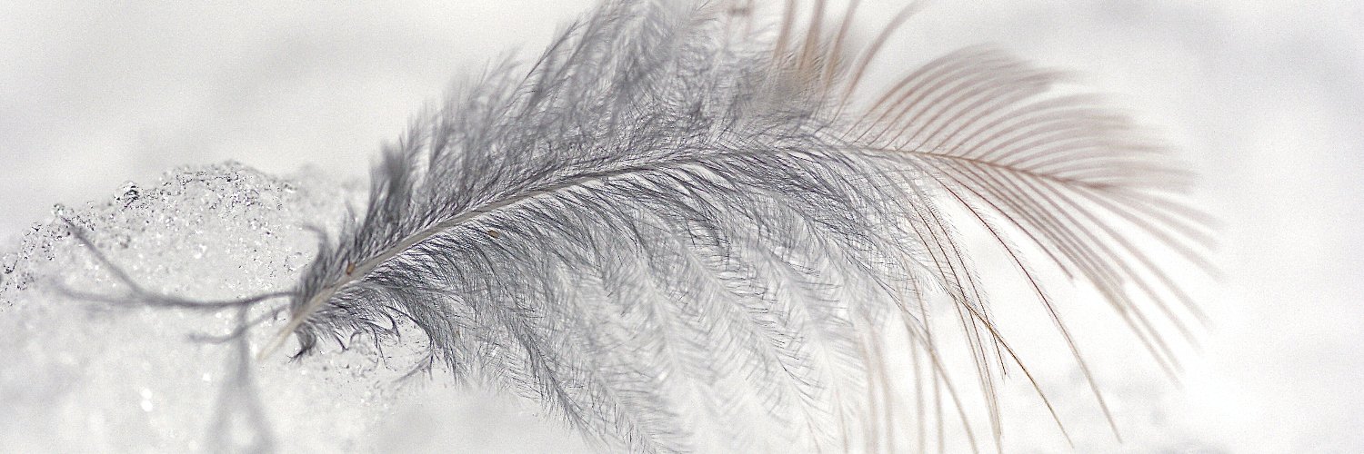 AllieMartin111's profile banner image