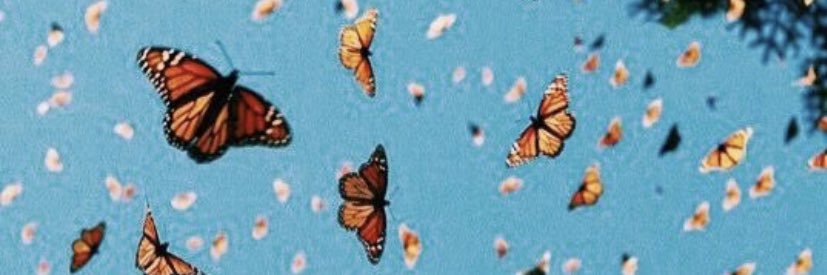 MardiWisdom's profile banner image