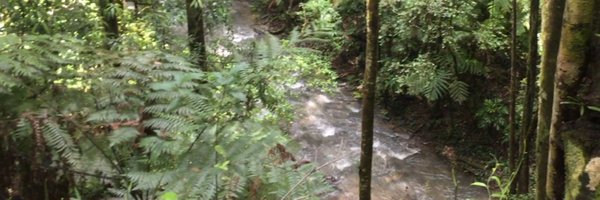 tim_cadman Profile Banner