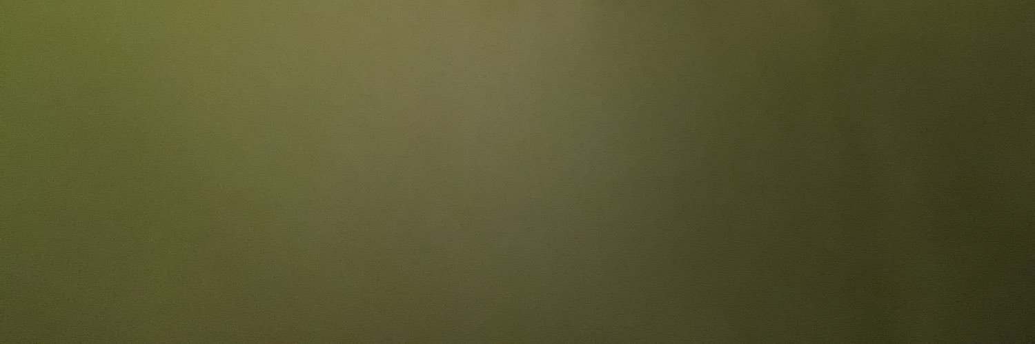 NateDiazz's profile banner image
