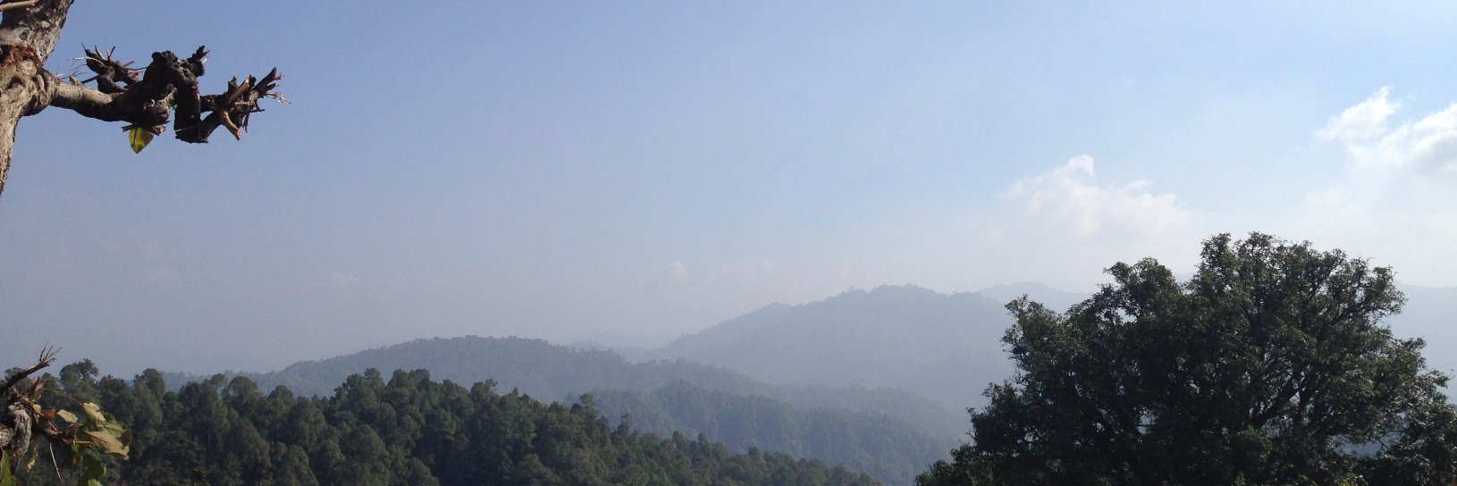 shampadhar's profile banner image