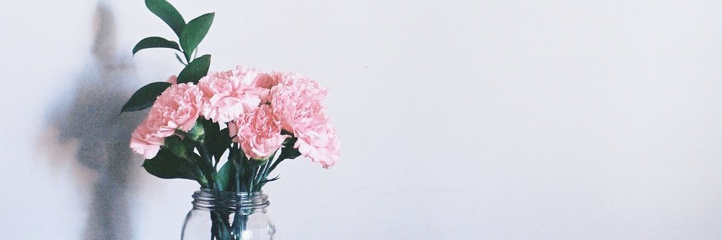 refinadwia's profile banner image