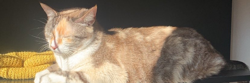 Ramonzeraa_'s profile banner image