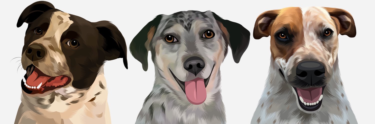 BrdlyC's profile banner image