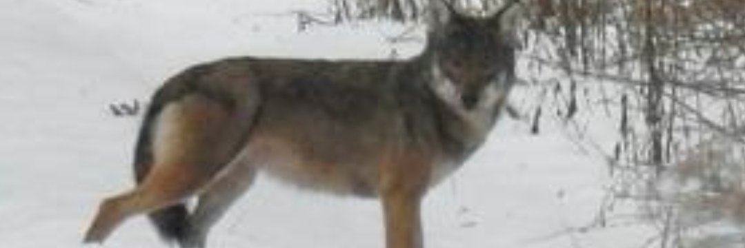 Bertrand Redonnet #TAEM banner