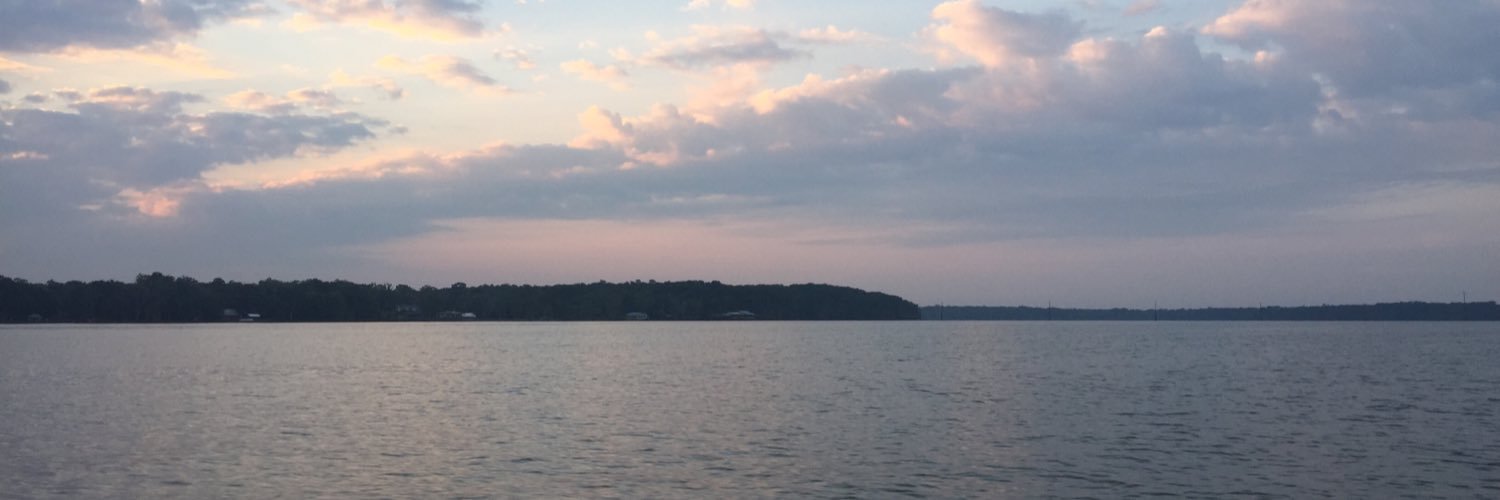 PCoddou's profile banner image