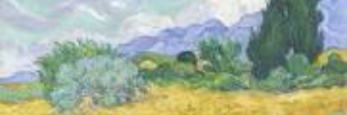 savttush's profile banner image