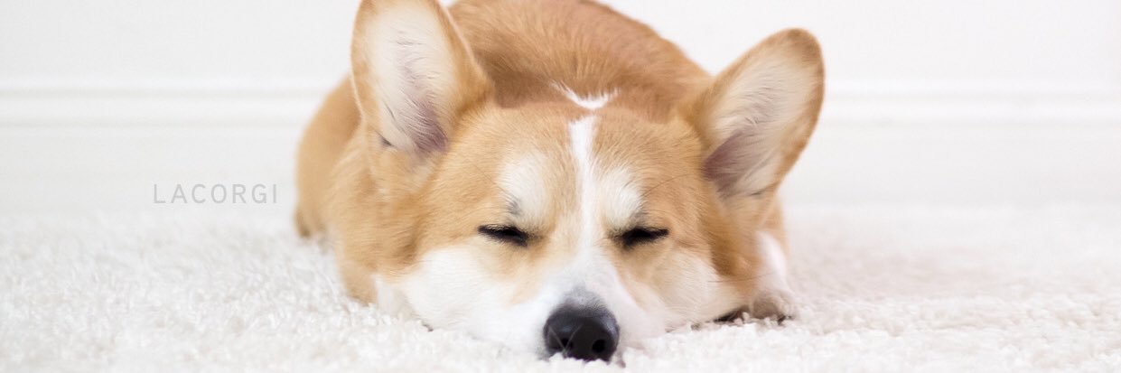 swiftystuffs's profile banner image