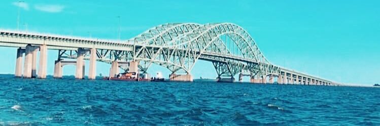 Vanessa Costantino banner