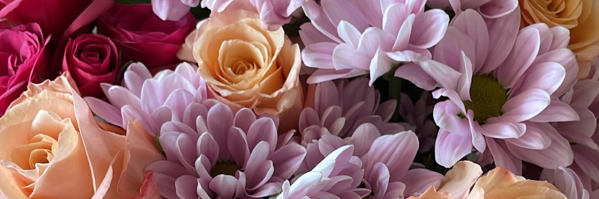 sxphiaa___'s profile banner image