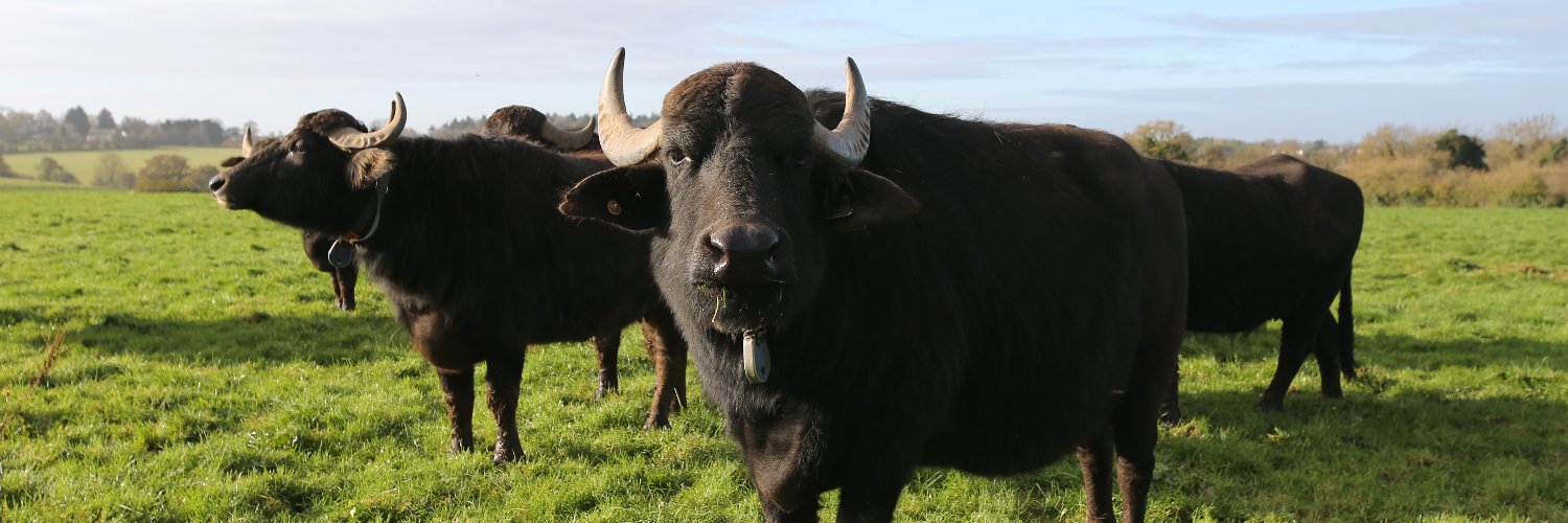 Laverstoke Park Farm banner