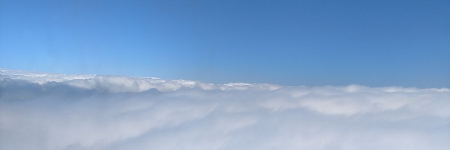Rysheeka Bush banner