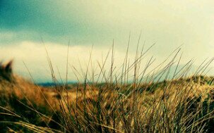 restusoediro's profile banner image
