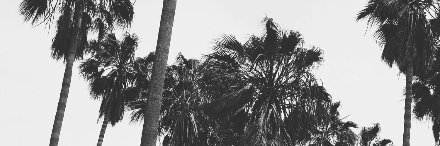 NotoriousEC's profile banner image
