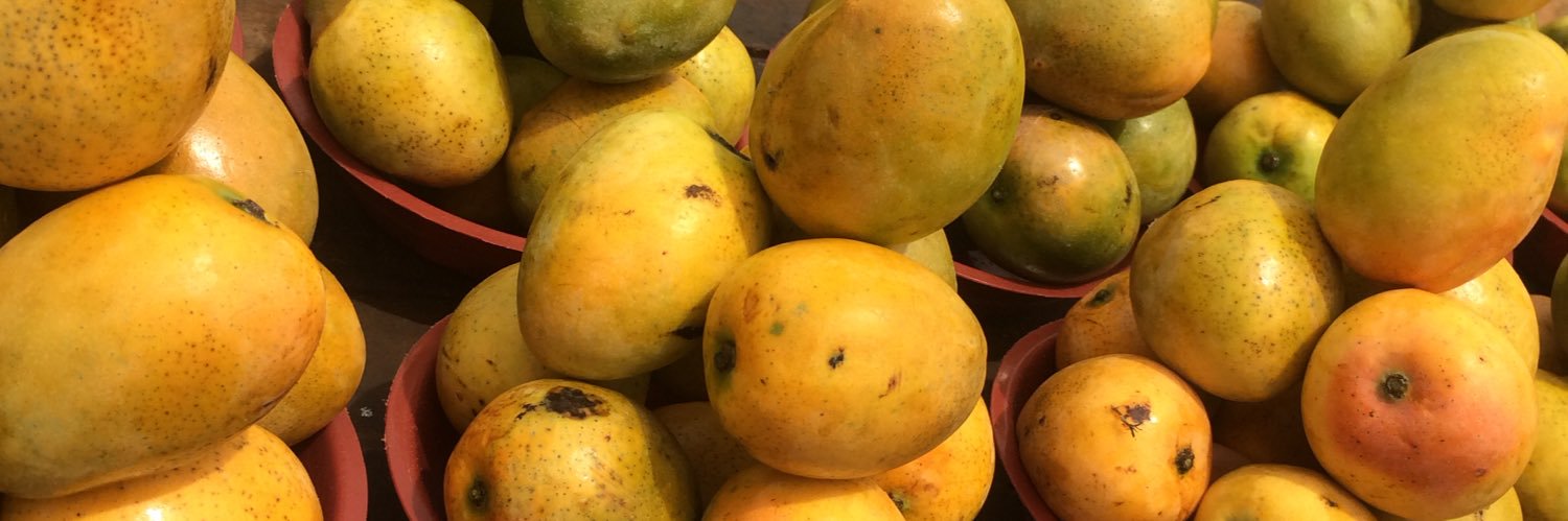 Gemma Cairney banner