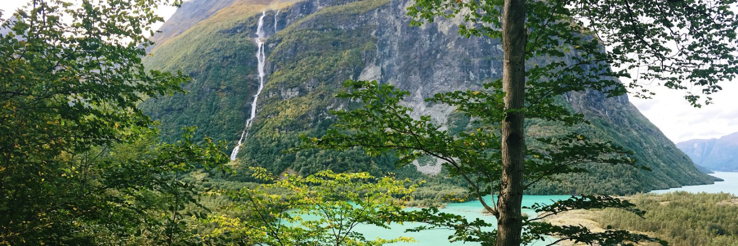 Stephanie Wisner banner